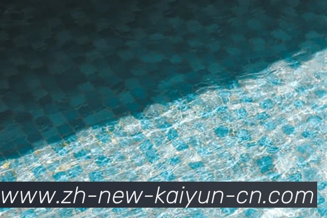 多媒体互动体验